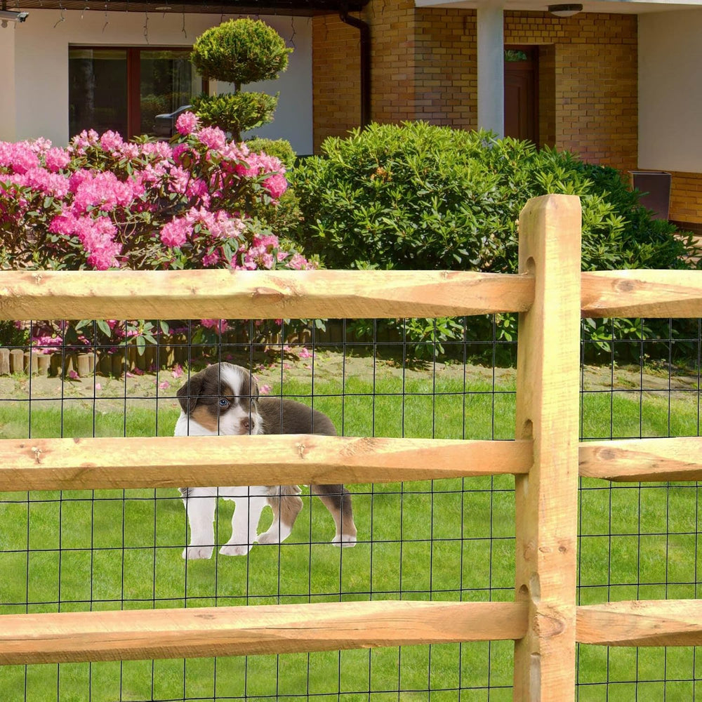 Black PVC Coated Welded Wire Fence 48" x 50' Roll, 2"x3" M...