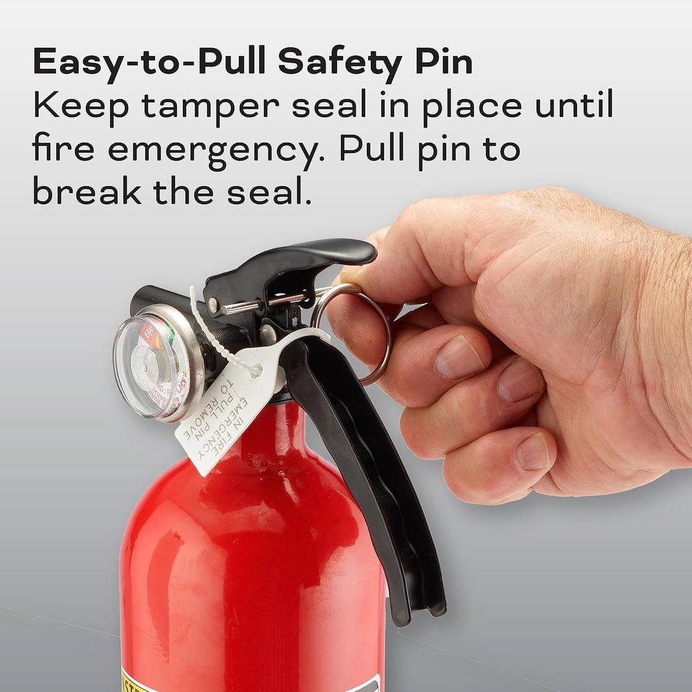 Kidde Kitchen + Home Fire Extinguisher Set, 711A | 1-A:10-B:C, RESSP+FA110G