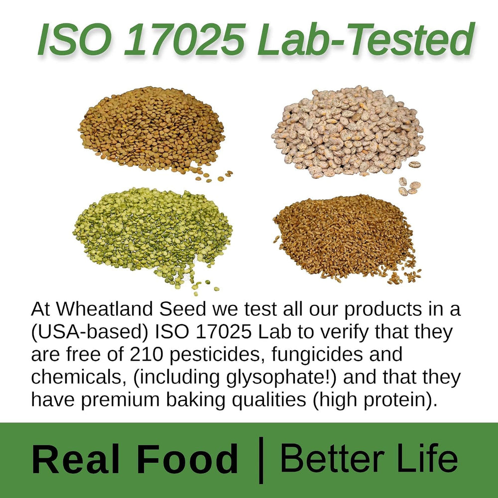 Wheatland™ Pinto Beans • Farm Fresh • Mylar, Oxygen Absorber & Bucket pro...