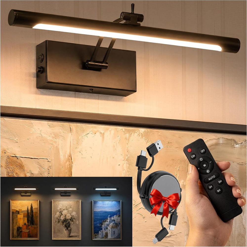 Picture Light for Wall, Rechargeable LED Art Light, Remote, Black