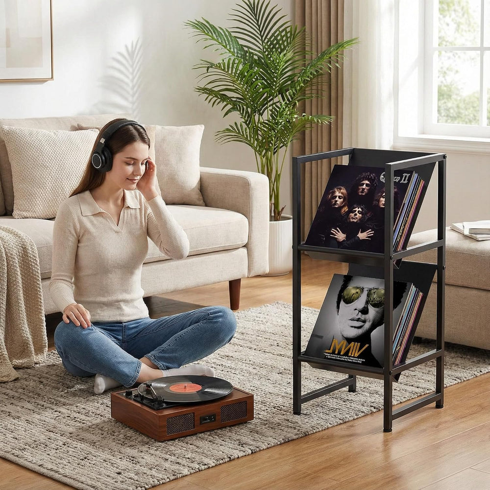 2-Tier Black Metal Vinyl Record Storage Holder for Collection
