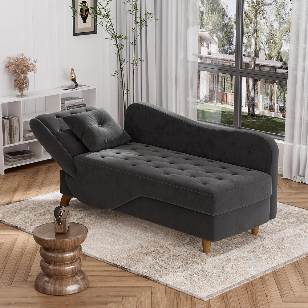DAMAIFROM Chaise Lounge Chair Indoor with Storage,Adjustable Backrest,Black