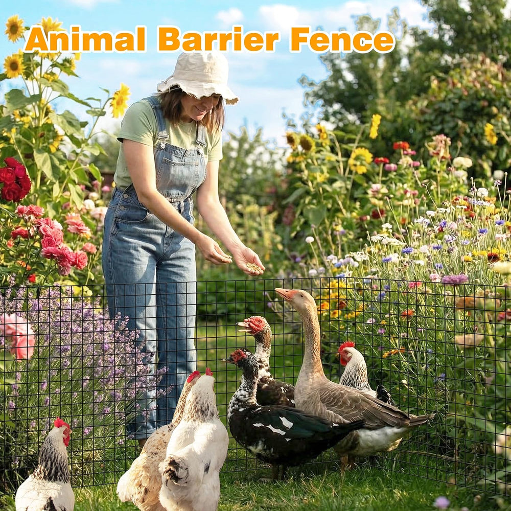 Black PVC Coated Welded Wire Fencing, 24in High x 100ft Long, 2 inch x 2 inch...