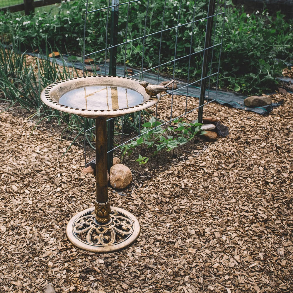 Backyard Expressions Bird Bath for Outside, 30 in Pedestal Birdbath, Bronze