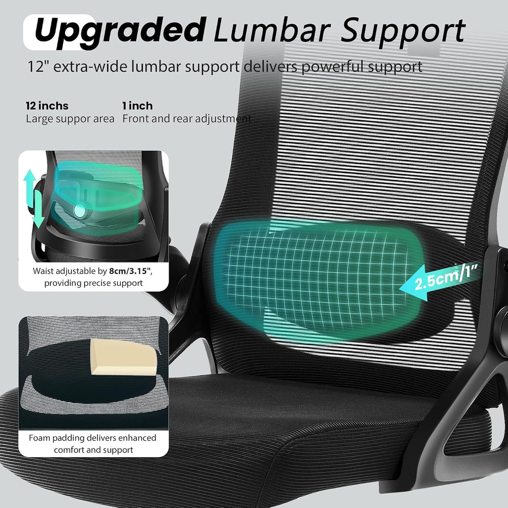 Fizzin Office Chair Mesh Computer Chairs with Adjustable Lumbar Support