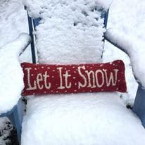 Chandler 4 Corners Artist-Designed Let It Snow Hand-Hooked Wool Decorative Ch...