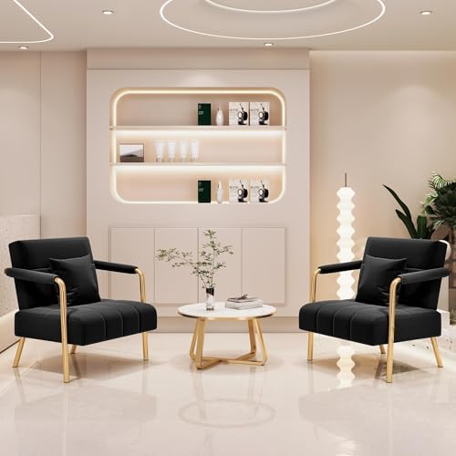 Yaheetech 30" Accent Chair Velvet Armchair with Golden Frame, Black