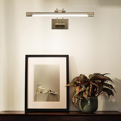 LEONLITE 3CCT Dimmable LED Picture Light, CRI90, Adjustable, Antique Brass