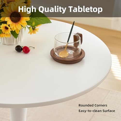 Round Dining Table, 24" Tulip Table (White)