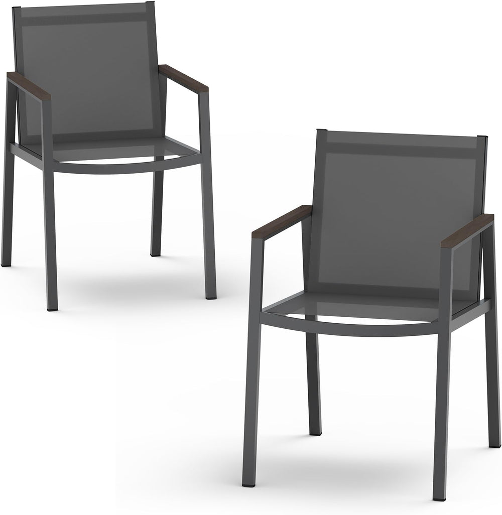 Outdoor Dining Chairs Set of 2, Aluminum Patio Armchairs, All Weather Patio D...
