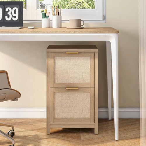 2-Drawer Rattan Small File Cabinet, Vertical Filing Cabinet, Natural Oak