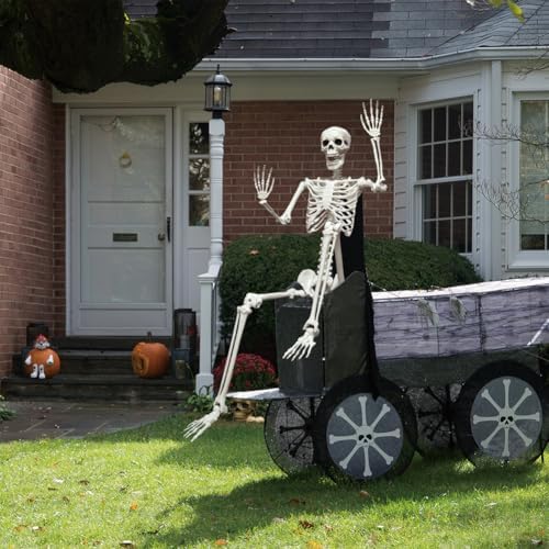 5.9FT Poseable Life Size Skeleton, Plastic Full Size Spooky Scary Skeleton with Movable Joints for Halloween Garden Party Decoration