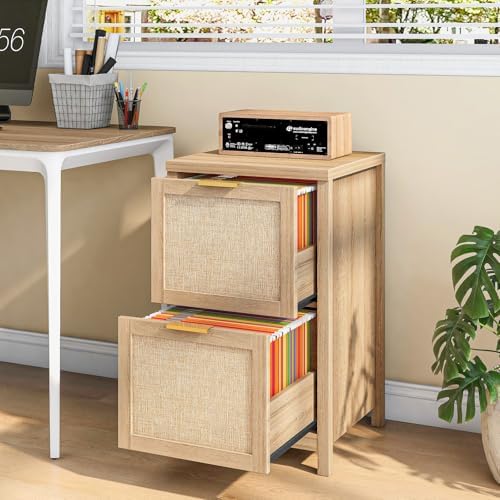 2-Drawer Rattan Small File Cabinet, Vertical Filing Cabinet, Natural Oak