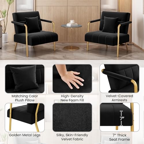 Yaheetech 30" Accent Chair Velvet Armchair with Golden Frame, Black