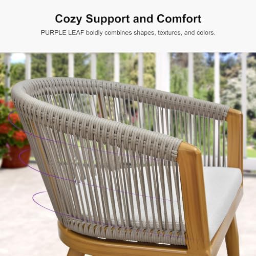PURPLE LEAF Outdoor Dining Set for 8 with Cushions PE Rattan Teak