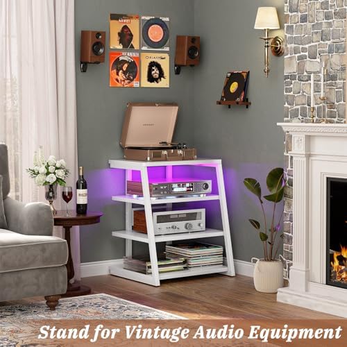 Armocity AV Media Stand, Stereo Stands and Racks Small Entertainment Center