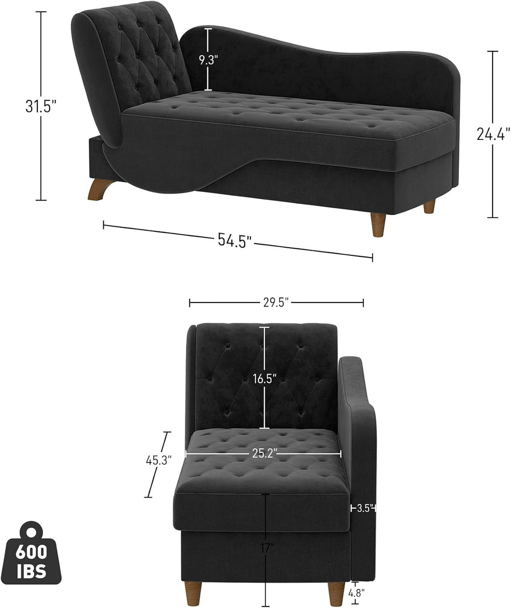 DAMAIFROM Chaise Lounge Chair Indoor with Storage,Adjustable Backrest,Black