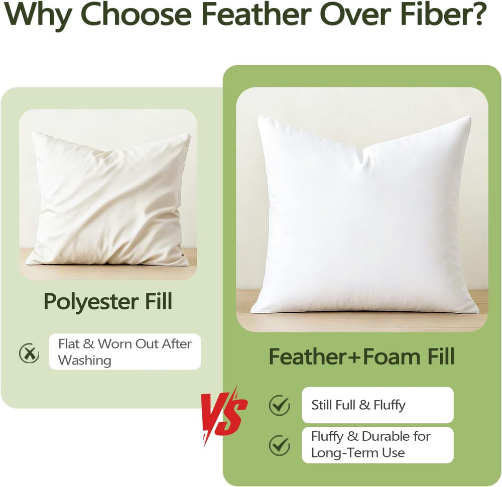 DWR Feather Down Throw Pillow Inserts with Organic Cotton, 20x20, Set of 2