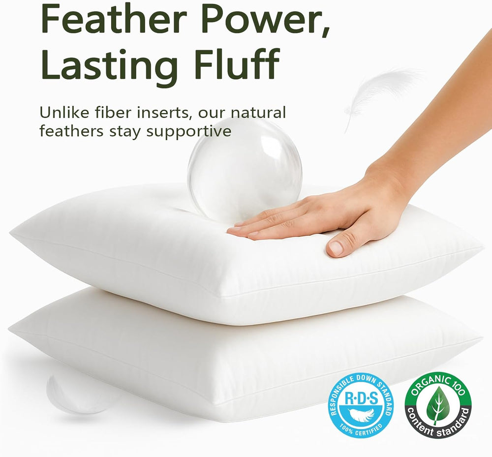 DWR Feather Down Throw Pillow Inserts with Organic Cotton, 20x20, Set of 2