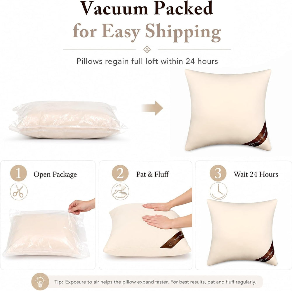 Throw Pillow Inserts 18x18, 2 Pack, Shredded Memory Foam for Couch