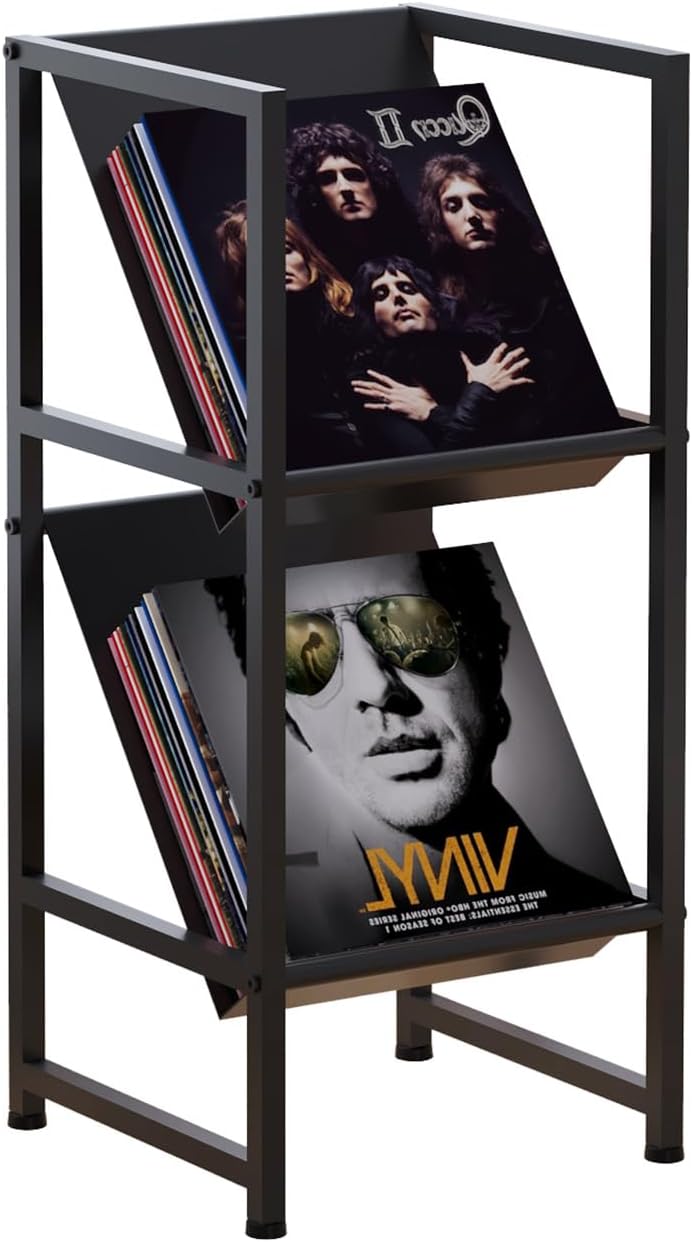 2-Tier Black Metal Vinyl Record Storage Holder for Collection