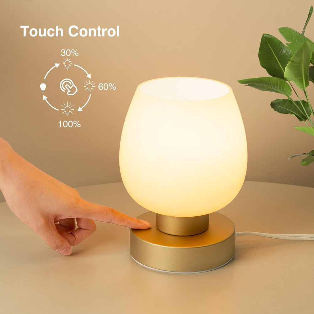 Touch Bedside Table Lamp - Desert Titanium Color Glass Lamp Shade, Warm LED B...