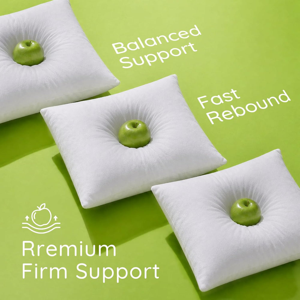 Ashler 20x20 Pillow Inserts, Set of 4