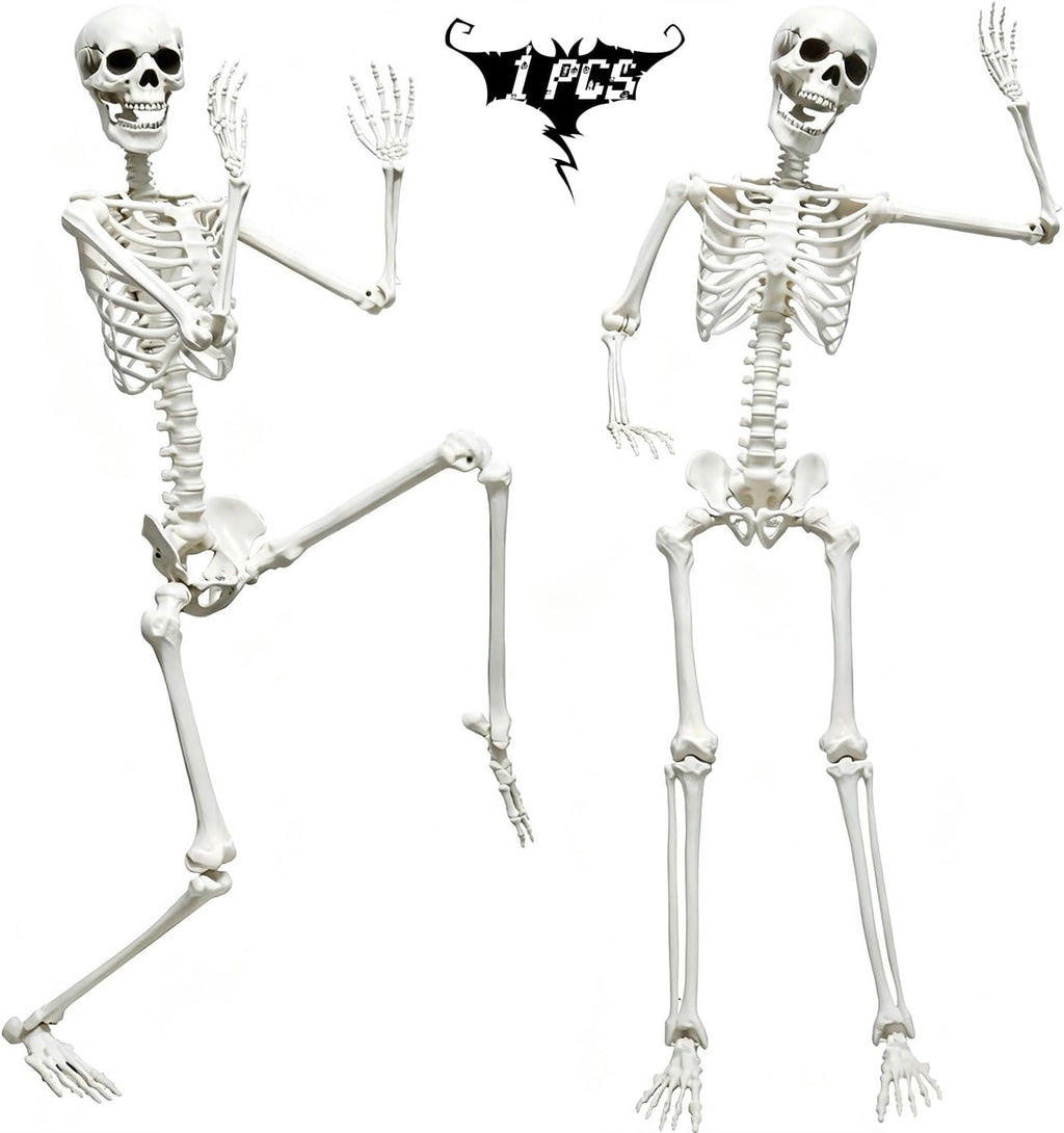 5.9FT Skeleton Halloween Full Size, Life Size Skeleton with Posable Joints