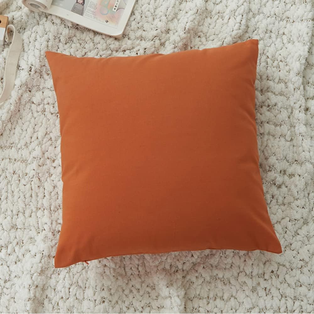 HOPLEE Orange Fall Pillow Covers 24x24 Farmhouse Throw Pillow Cover Cushion C...