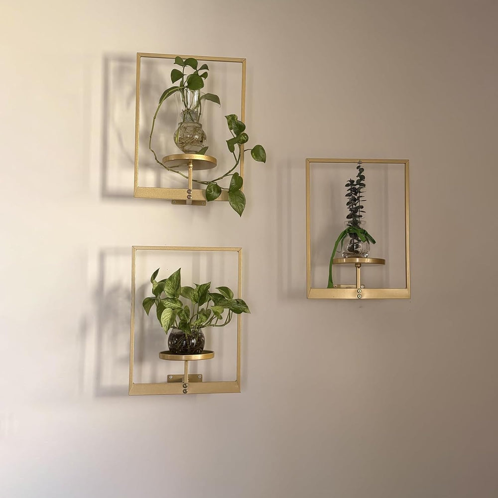 Picture Frame Wall Planters Set of 3, Modern Metal Hanging Shelves for Plants...