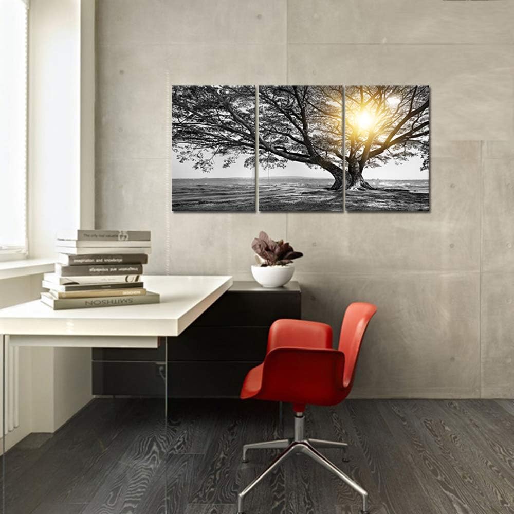 Biuteawal 3 Piece Wall Art Black White Tree at Warm Sunrise Landscape Picture...