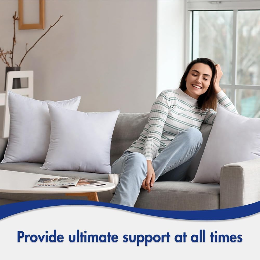 MIULEE 24x24 Pillow Inserts Pack of 2,Down Alternative Throw Pillows