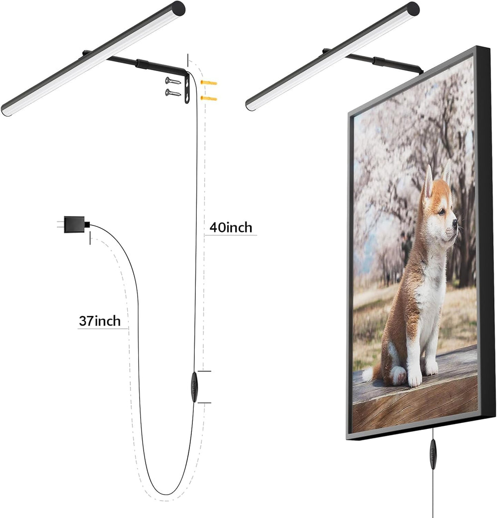 24" Plug in LED Picture Light, 9W Black Remote Control Wall Light