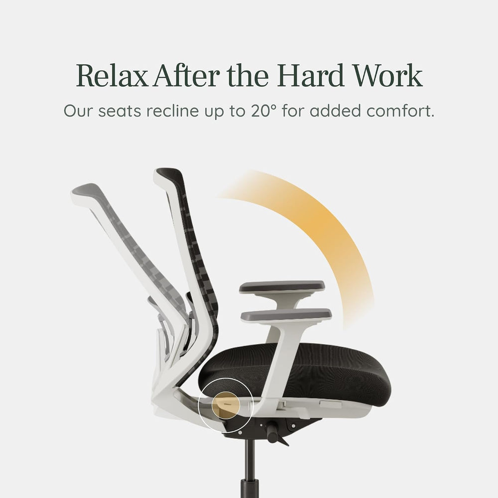 Branch Ergonomic Chair, Versatile Desk Chair with Adjustable Lumbar Support
