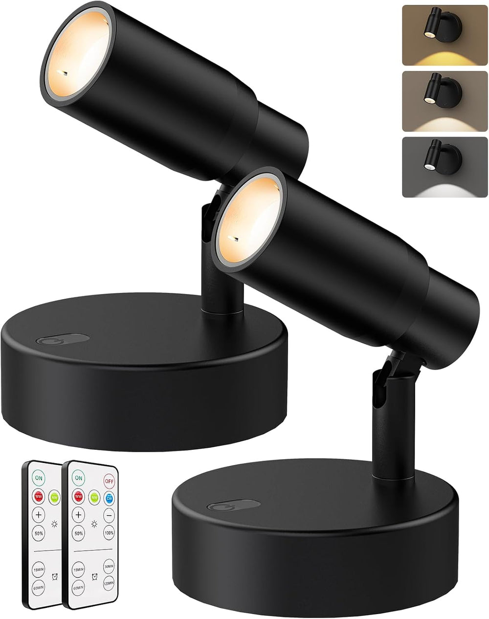 PESUTEN Zoomable Spot Lights Indoor, Rechargeable Picture Light with Remote, ...