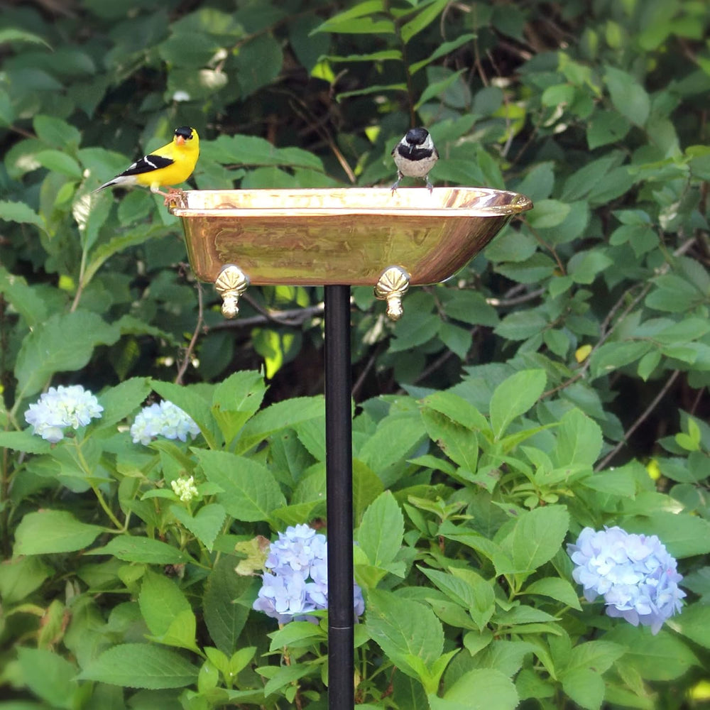 Pure Copper Bird Bath, Featuring Clawfoot Bathtub Design - Polished Copper by...