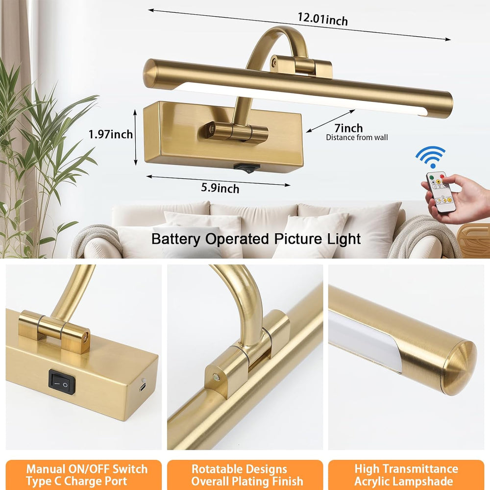 Tassuowell Rechargeable Picture Light with Remote Control,12 Inch Brass Finis...