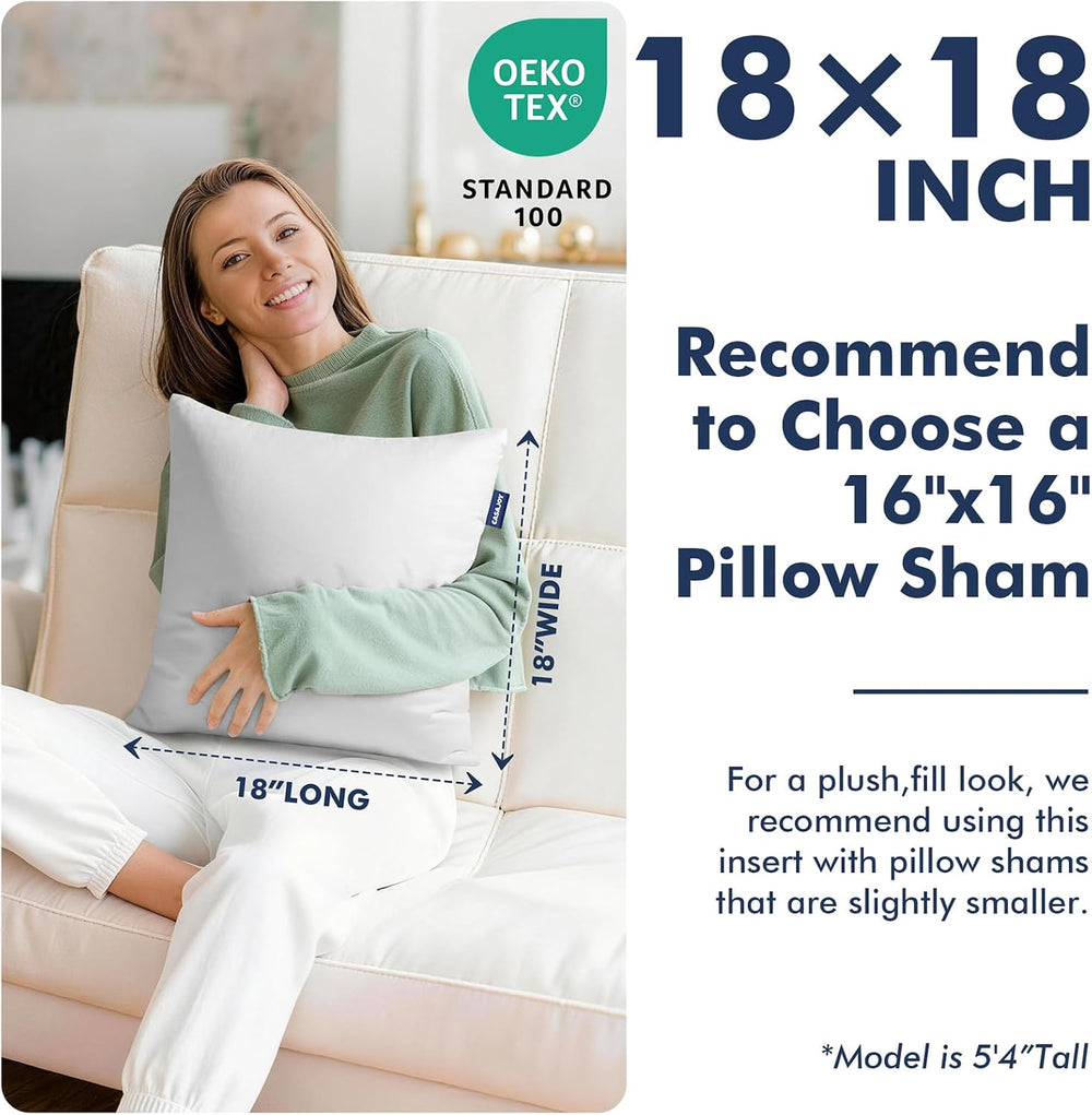 18x18 Pillow Inserts, Set of 2 Down Feather Throw Pillows for Couch