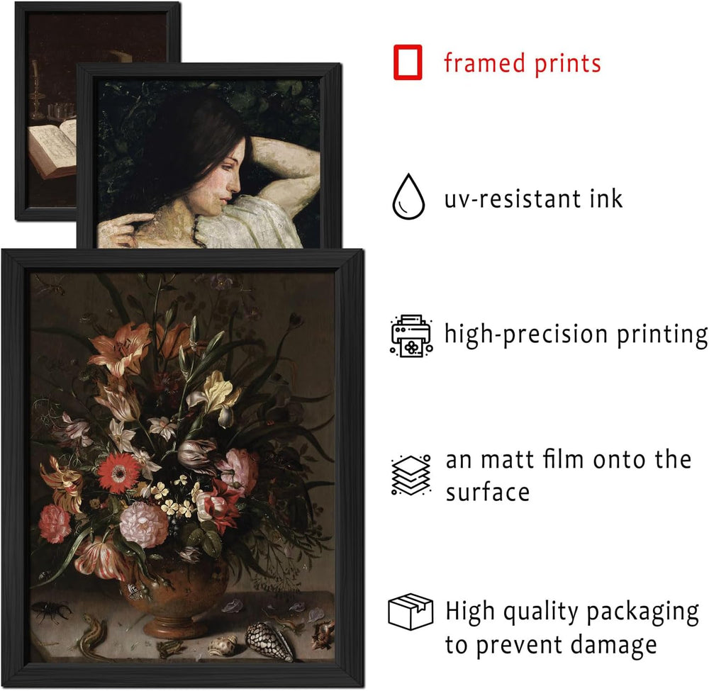 ANERZA 16 PCS Framed Dark Academia Room Decor, Gothic Home Decor, Moody Wall ...
