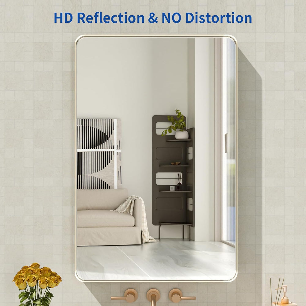 WEER Bathroom Vanity Mirror Brushed Nickel 20X30 Inch