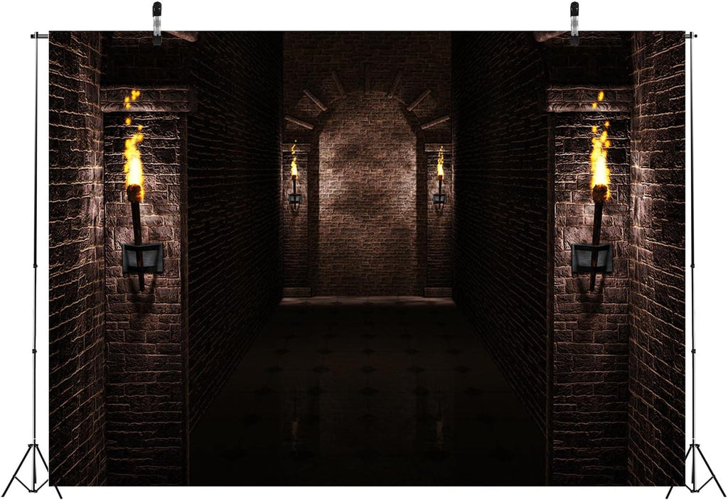 BELECO 12x10ft Fabric Gothic Castle Backdrop Ancient Black Brick Stone Wall Arches Torches Dungeon Medieval Castle Scene Halloween Night Background Medieval Party Decorations Studio Booth Photo Props
