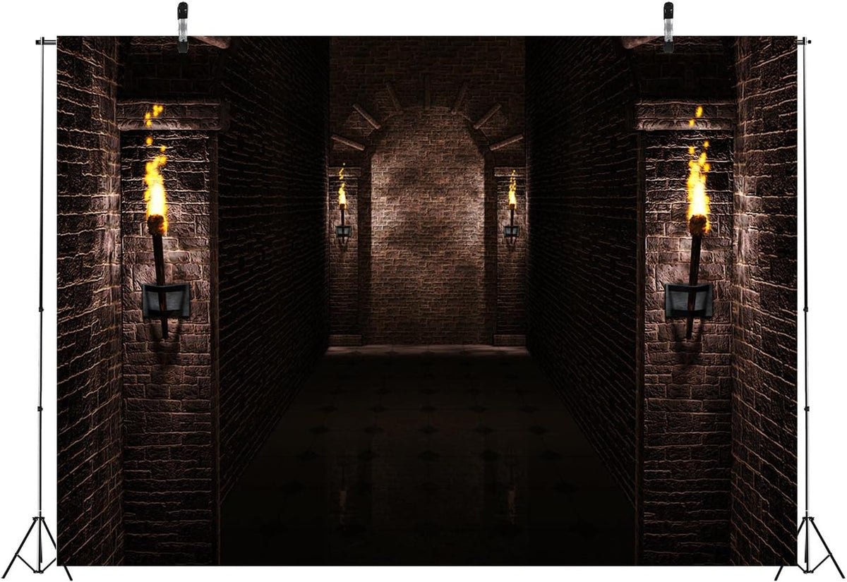 BELECO 12x10ft Fabric Gothic Castle Backdrop Ancient Black Brick Stone Wall Arches Torches Dungeon Medieval Castle Scene Halloween Night Background Medieval Party Decorations Studio Booth Photo Props