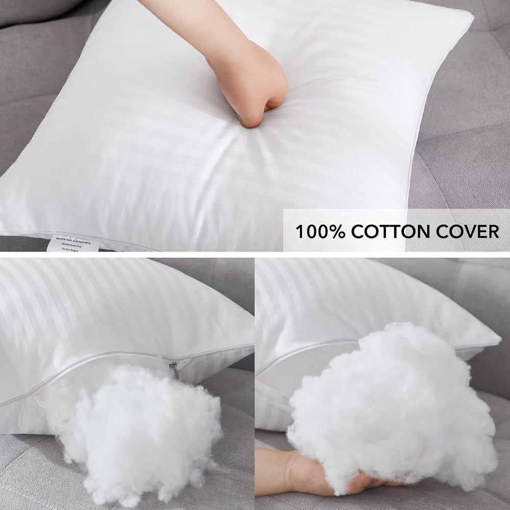 Oubonun 22 x 22 Throw Pillow Inserts Set of 2