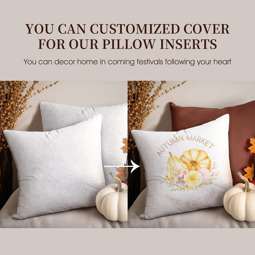 Blue Ridge Home Fashions Feather Down Pillow Square Euro Size Set of 2 Pack C...