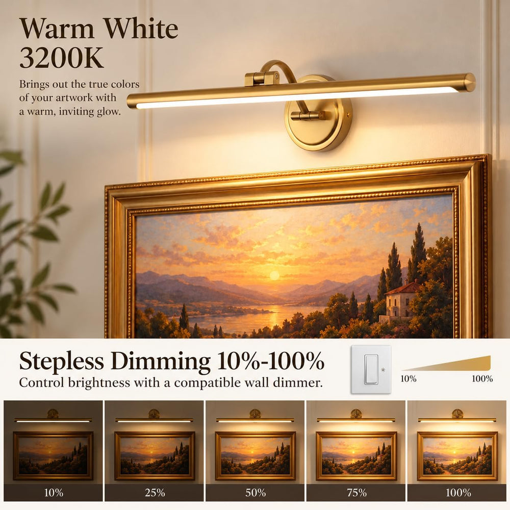 Hard-Wired Picture Lights 23.6 Inch Dimmable LED Wall Art Lighting Modern Bra...