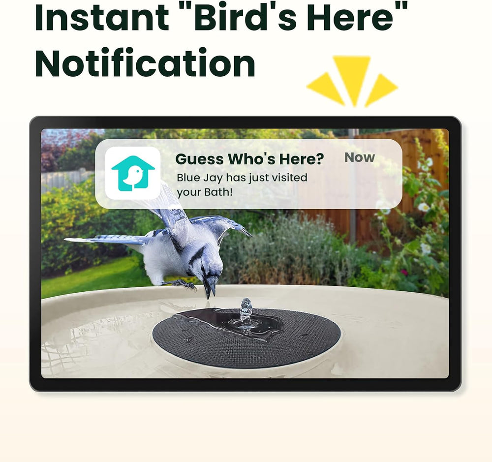 Birdfy Smart Bird Bath with Camera, Solar Powered & Fountain, 2K AI Camera