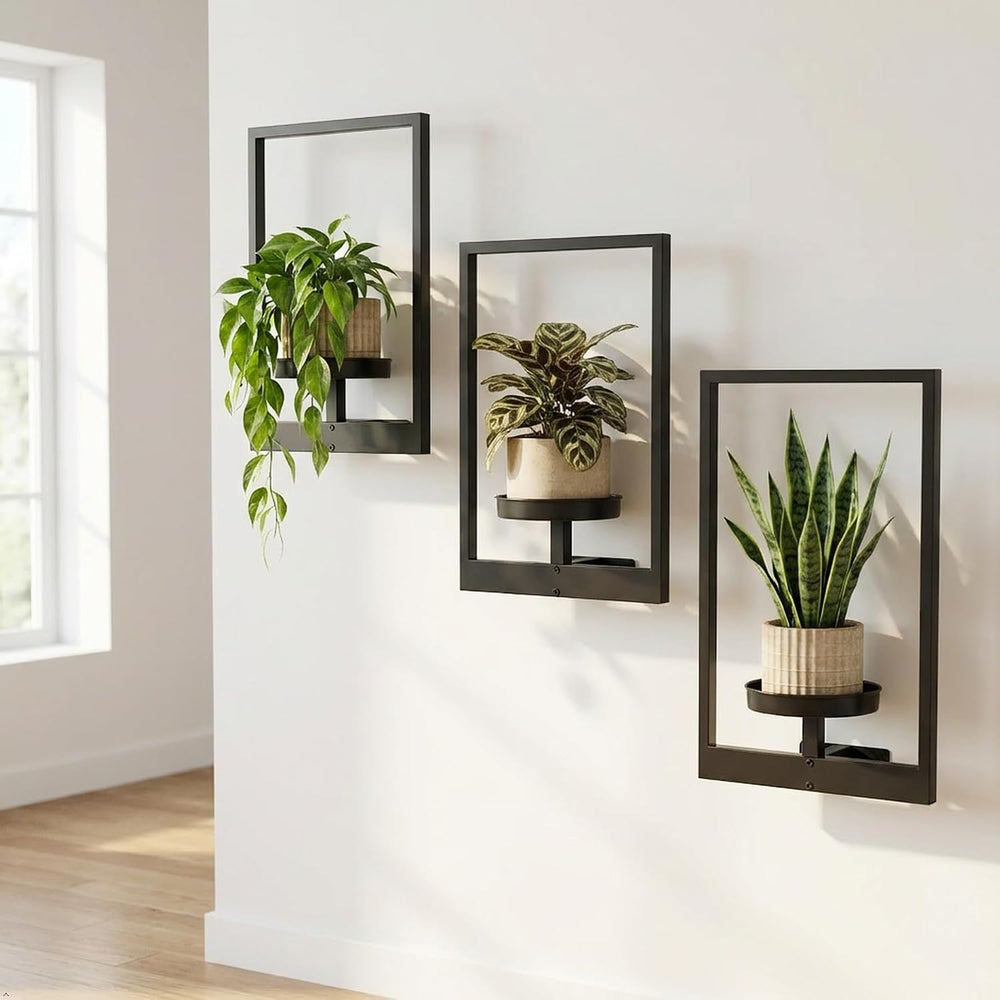Picture Frame Wall Planters Set of 3, Modern Metal Hanging Shelves for Plants...