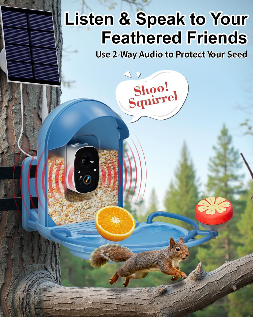 Bird Feeder with Camera, AI Recognition, Bird Bath, Solar Powered
