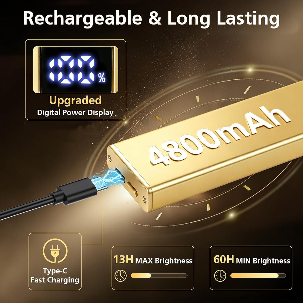 Picture Lights for Wall, 16inch Rechargeable Art Light with Remote, 2Pack