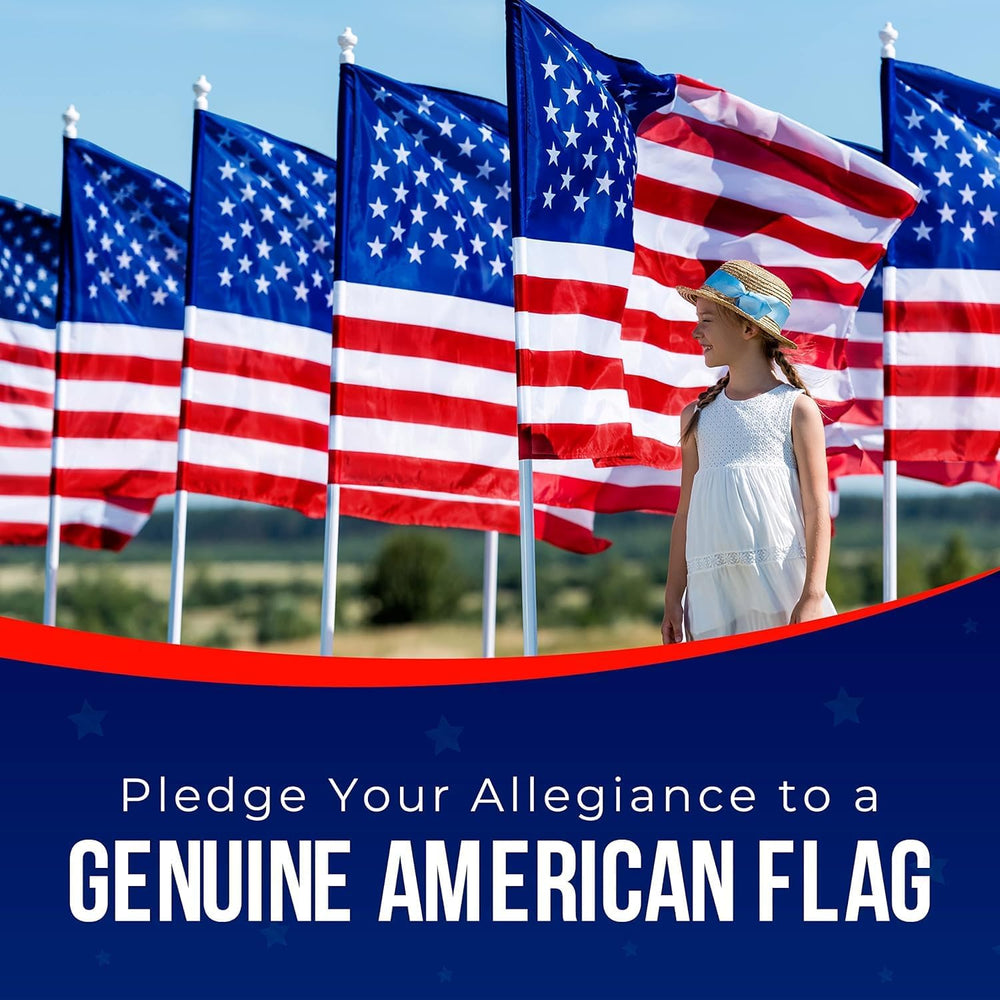 American Flag Made in USA | American Flags for Outside 3X5 | Premium US Flag ...